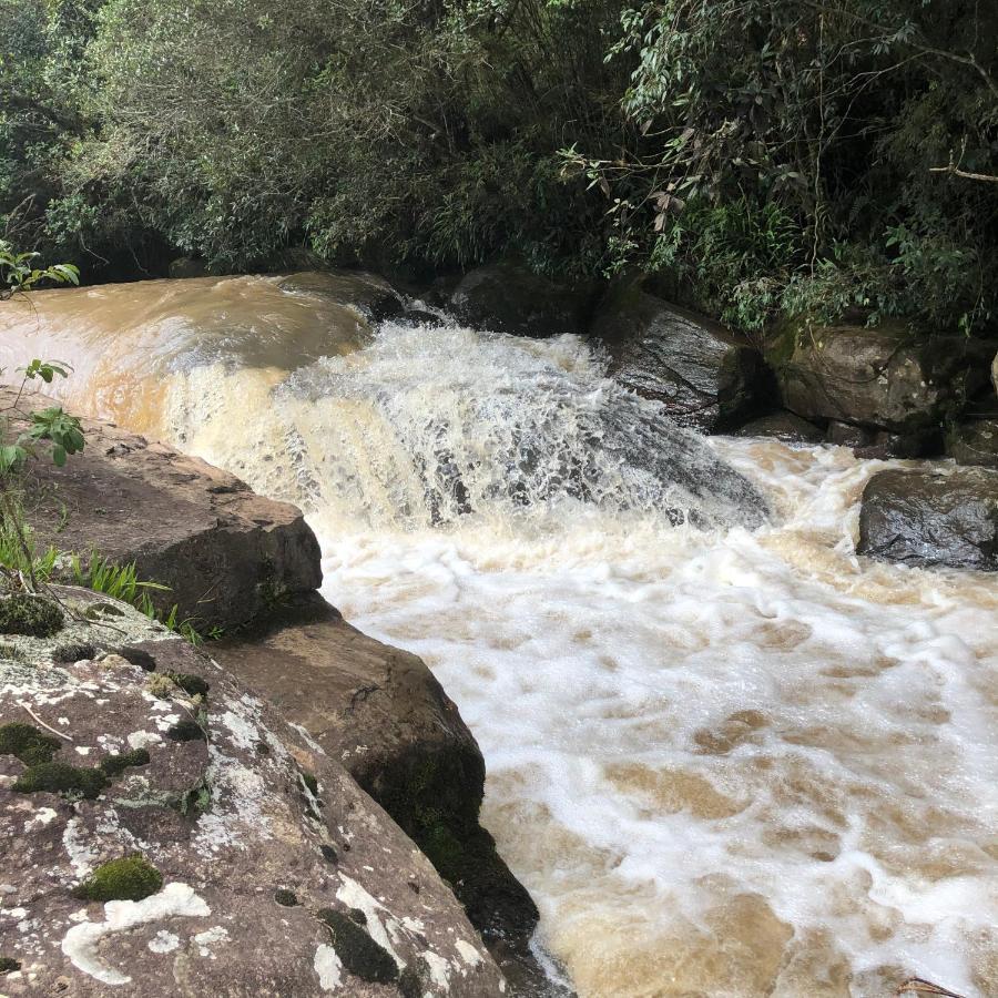 Pousada Pedra Da Mata Chales Na Montanha Munhoz Bagian luar foto