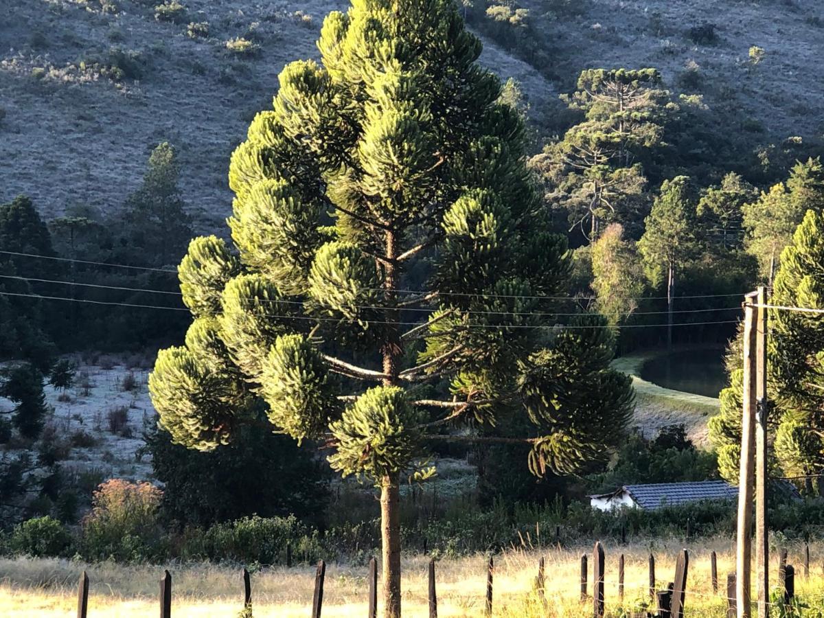 Pousada Pedra Da Mata Chales Na Montanha Munhoz Bagian luar foto