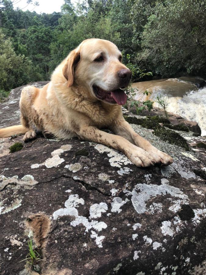 Pousada Pedra Da Mata Chales Na Montanha Munhoz Bagian luar foto