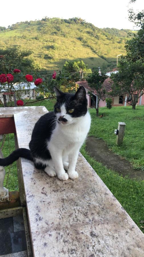 Pousada Pedra Da Mata Chales Na Montanha Munhoz Bagian luar foto