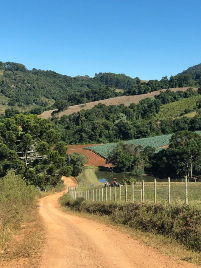 Pousada Pedra Da Mata Chales Na Montanha Munhoz Bagian luar foto