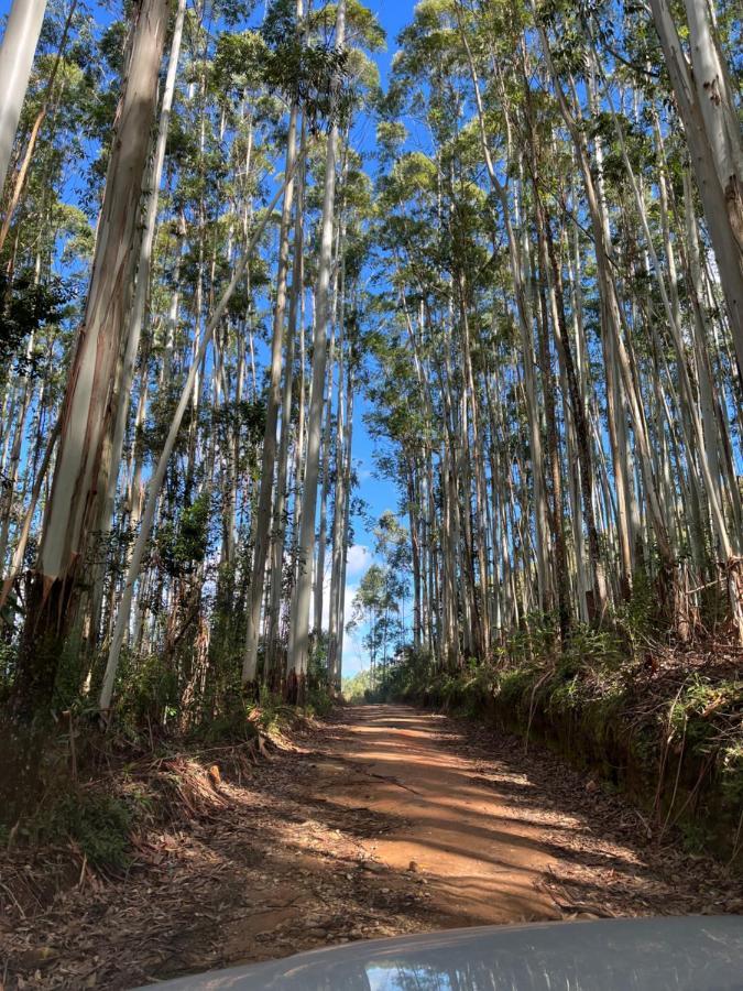 Pousada Pedra Da Mata Chales Na Montanha Munhoz Bagian luar foto