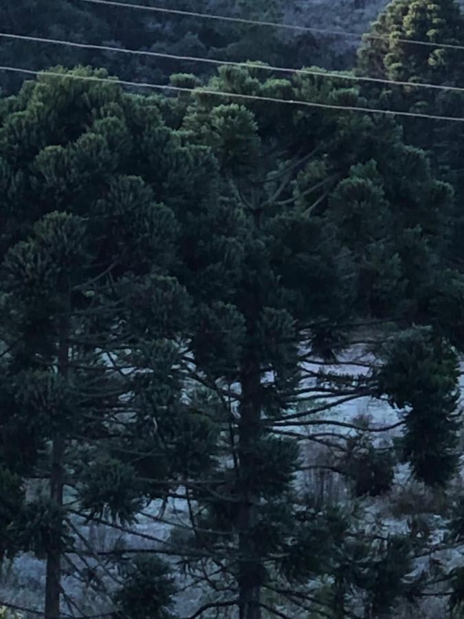 Pousada Pedra Da Mata Chales Na Montanha Munhoz Bagian luar foto