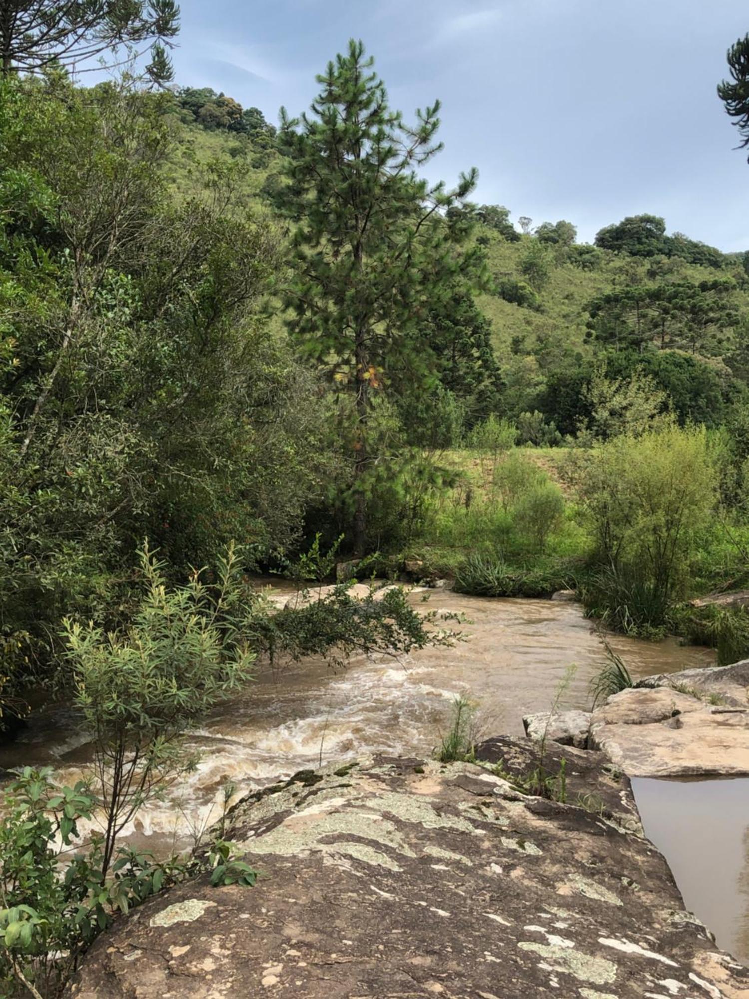 Pousada Pedra Da Mata Chales Na Montanha Munhoz Bagian luar foto